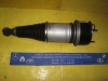 Jaguar - Strut - Shock - 2W93 5A965